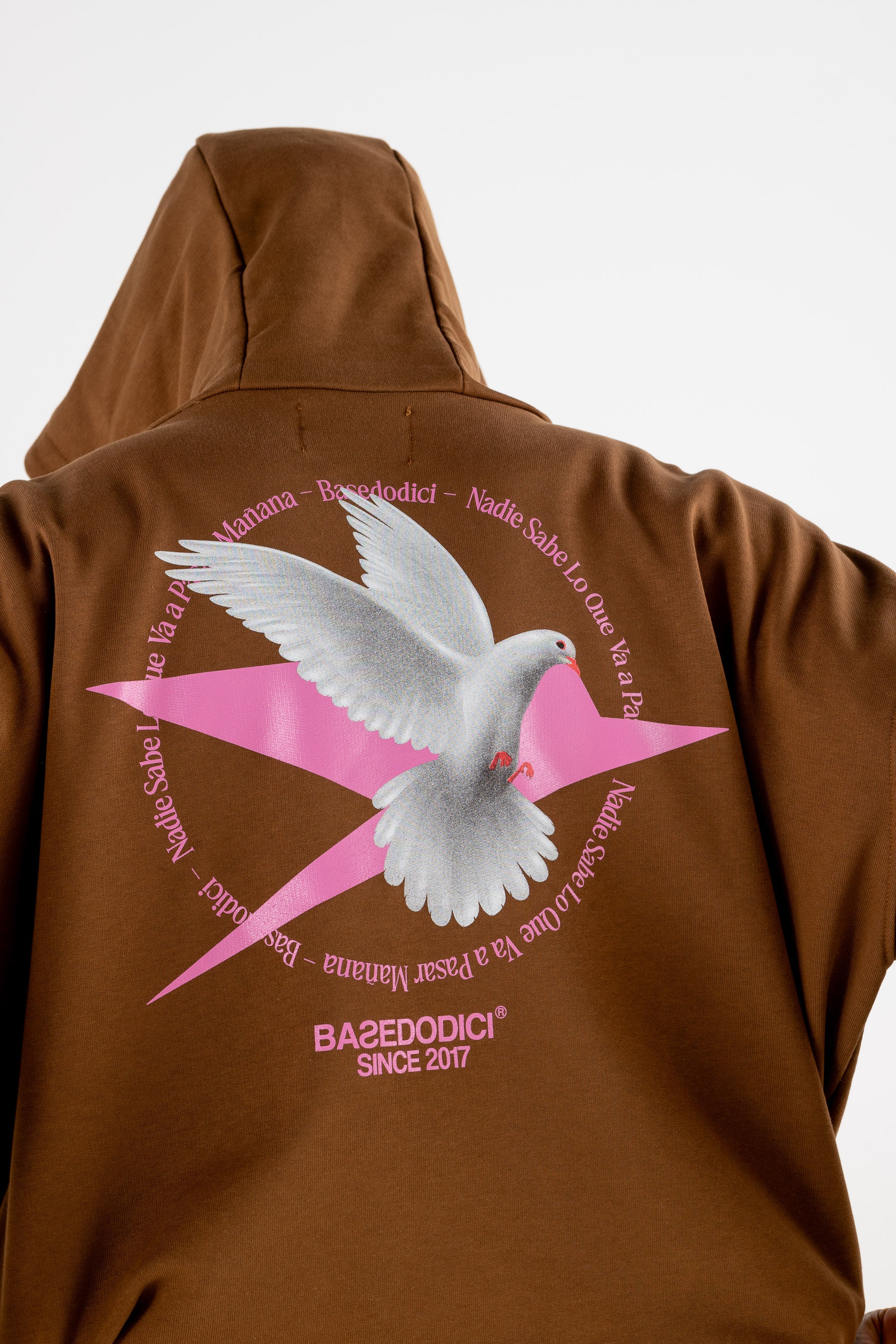 Hoodie Boxy “RESORT” Dove Brown - Image 13