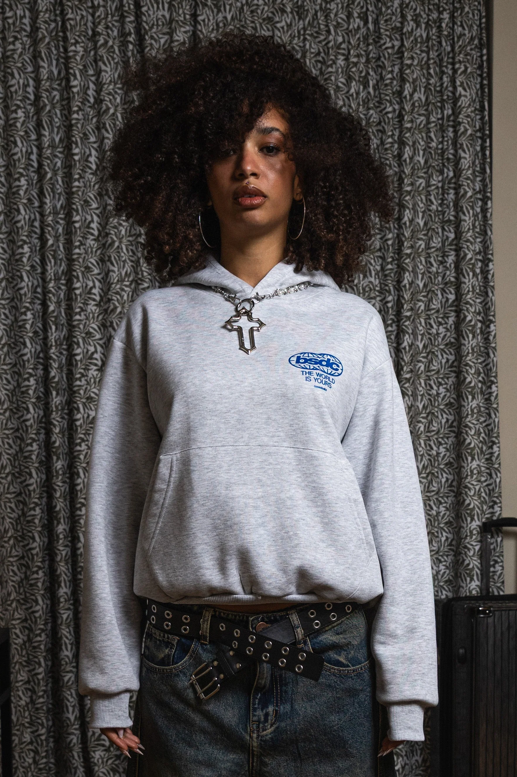 Hoodie "WORLD TOUR" Diplomatic Immunity AshGrey - Image 3