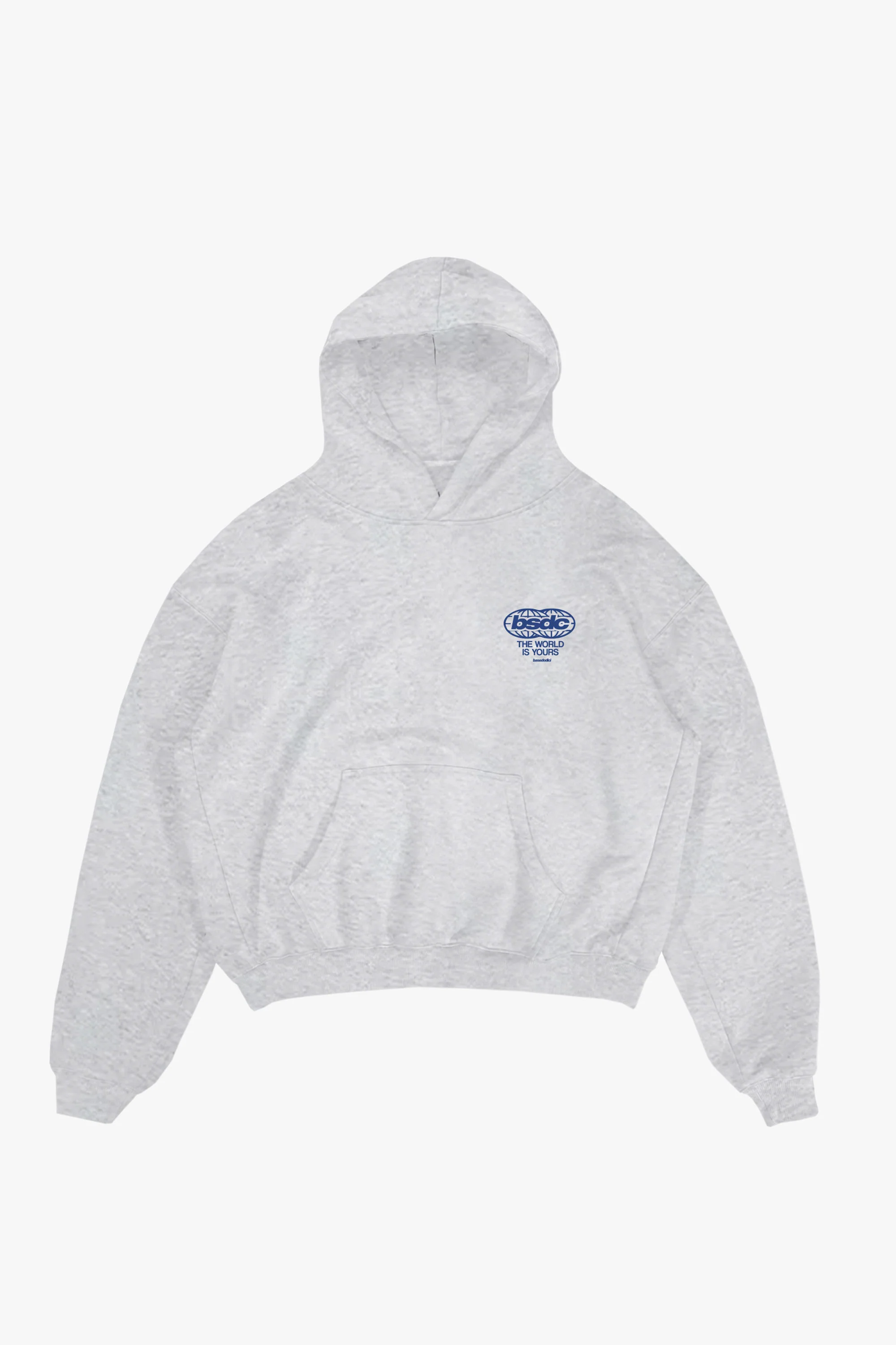 Hoodie "WORLD TOUR" Diplomatic Immunity AshGrey - Image 7